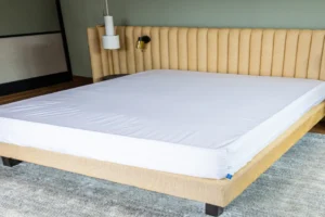 Meilleures housses anti-acariens pour matelas (Comparatif 2026)